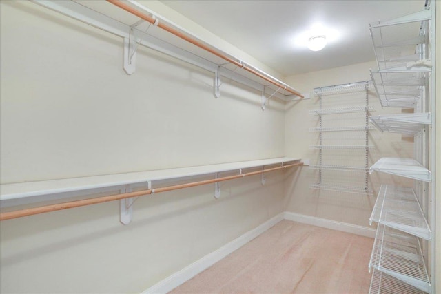 114 Meagans Run Rd, Woodstock, VA 22664 - walk in closet featuring carpet flooring
