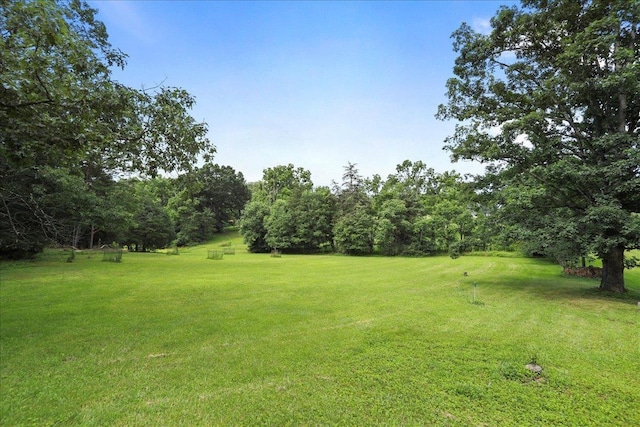 114 Meagans Run Rd, Woodstock, VA 22664 - view of grassy yard