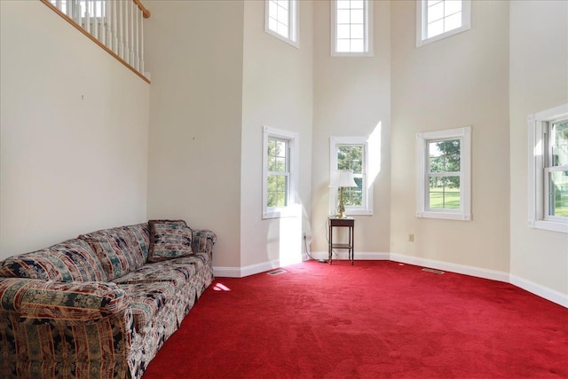 114 Meagans Run Rd, Woodstock, VA 22664 - living room with a high ceiling and dark colored carpet