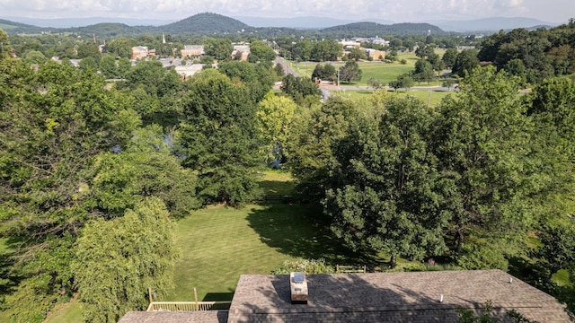 232 Mountain View Dr, Bridgewater, VA 22812 - photo 63