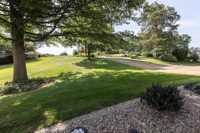 232 Mountain View Dr, Bridgewater, VA 22812 - photo 47