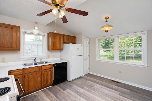 kitchen featuring white appliances, a sink, brown cabinets, a ceiling fan, and light wood finished floors