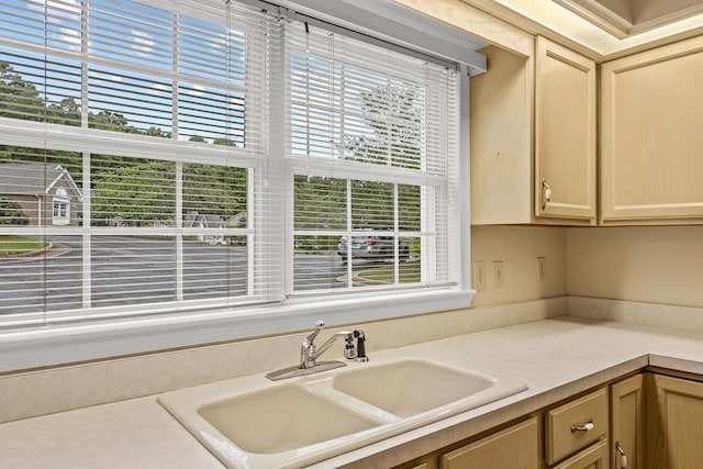 127 Emerald Dr, Harrisonburg, VA 22801 - kitchen featuring a sink, plenty of natural light, and light countertops