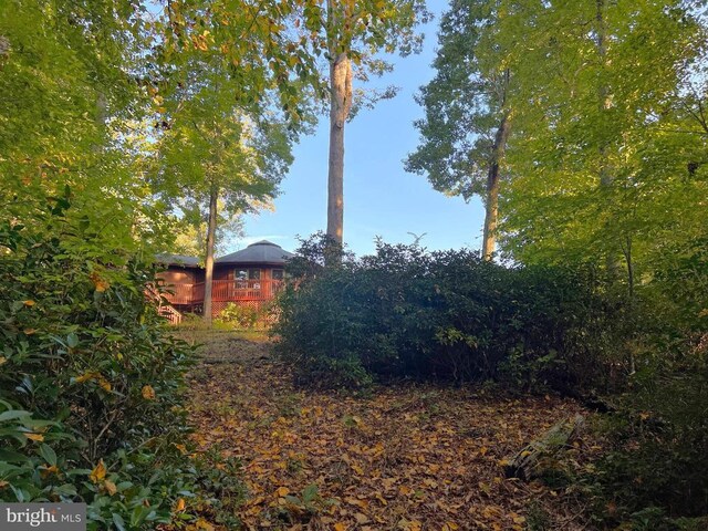 243 Aaron Mountain Rd, Castleton, VA 22716 - view of yard