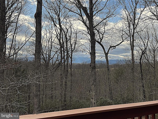 243 Aaron Mountain Rd, Castleton, VA 22716 - mountain view