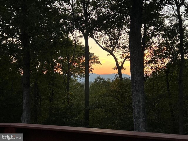 243 Aaron Mountain Rd, Castleton, VA 22716 - view of nature at dusk
