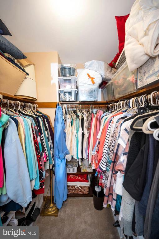 spacious closet with carpet