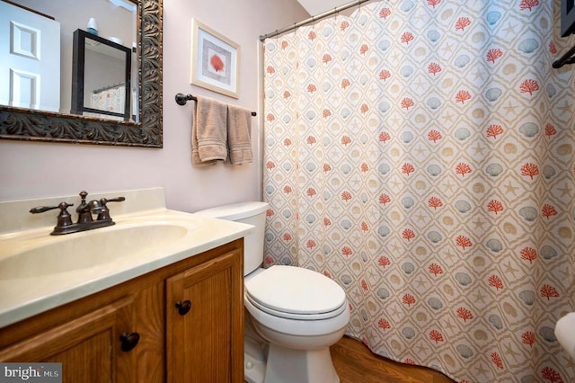 full bath featuring toilet, vanity, and a shower with curtain