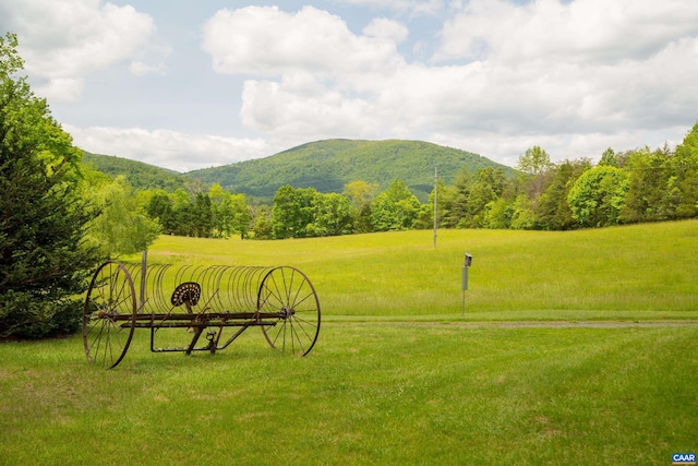 7122 Harris Mountain Ln, Dyke, VA 22935 - view of home's community with a mountain view and a yard