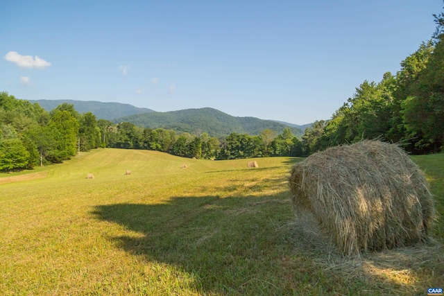 7122 Harris Mountain Ln, Dyke, VA 22935 - view of mountain background