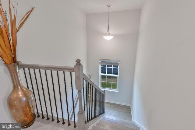 8903 Maple Run Dr, Fredericksburg, VA 22407 - photo 24
