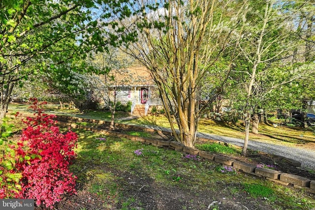 135 Bluewater Blvd S, Mineral, VA 23117 - view of yard