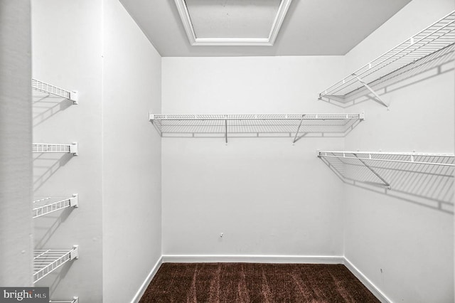 135 Bluewater Blvd S, Mineral, VA 23117 - spacious closet featuring attic access and carpet floors