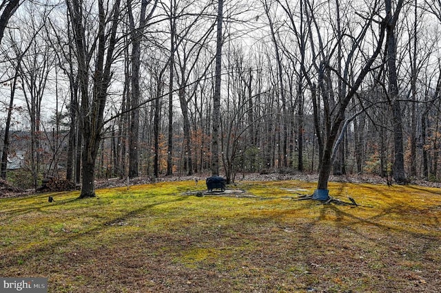 135 Bluewater Blvd S, Mineral, VA 23117 - view of green lawn