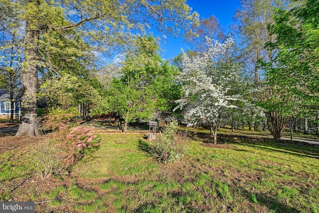 135 Bluewater Blvd S, Mineral, VA 23117 - view of yard