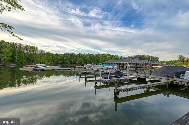 135 Bluewater Blvd S, Mineral, VA 23117 - dock with a water view and a view of trees