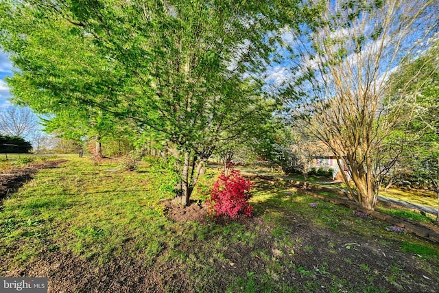 135 Bluewater Blvd S, Mineral, VA 23117 - view of yard