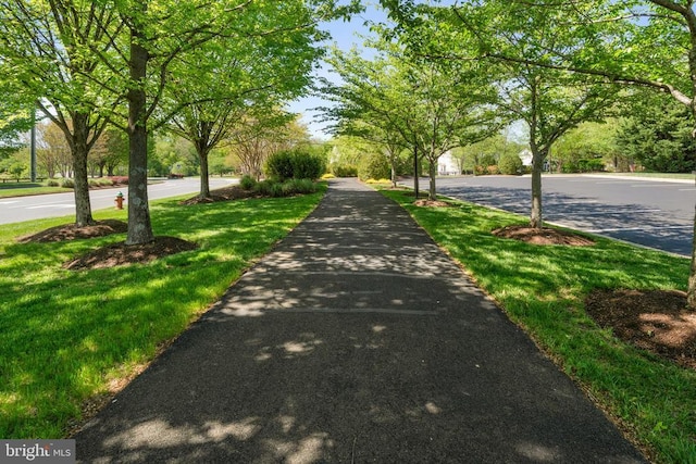  - view of asphalt road