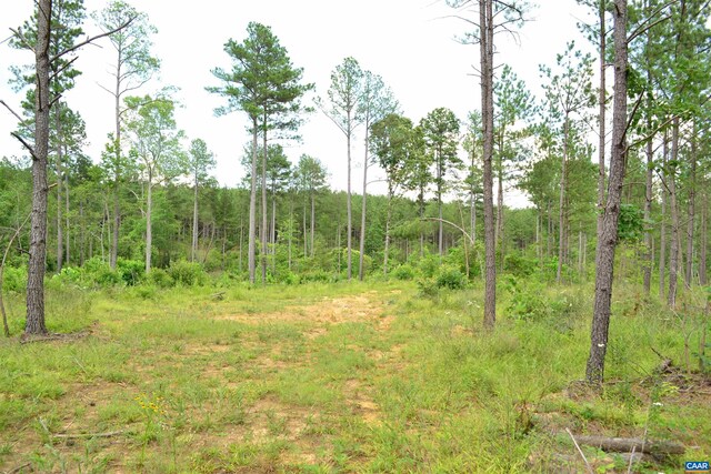 LOT3TBA Melita Rd, Arvonia, VA 23004 - photo 9