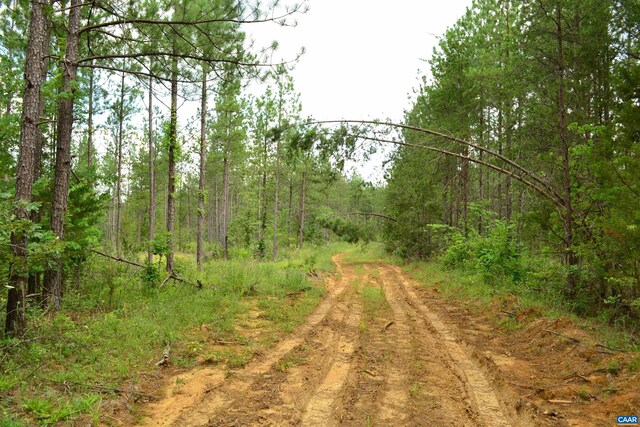 LOT3TBA Melita Rd, Arvonia, VA 23004 - photo 8
