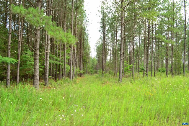 LOT3TBA Melita Rd, Arvonia, VA 23004 - photo 4