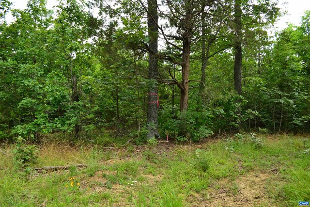 LOT3TBA Melita Rd, Arvonia, VA 23004 - photo 15
