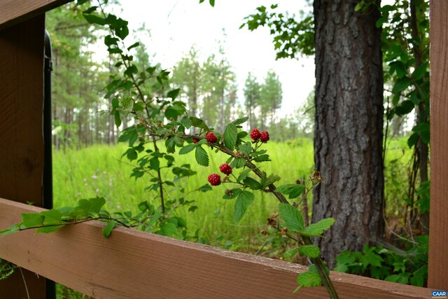 LOT3TBA Melita Rd, Arvonia, VA 23004 - photo 3