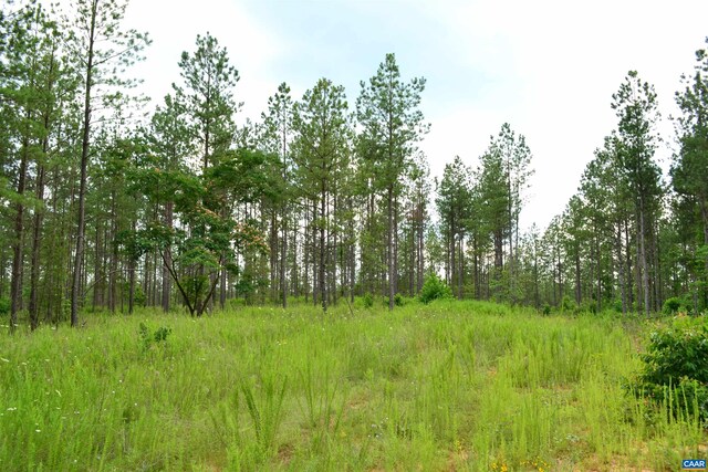LOT3TBA Melita Rd, Arvonia, VA 23004 - photo 5