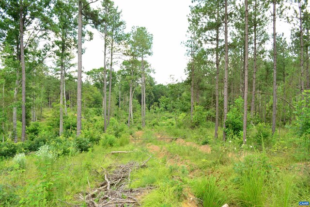 LOT3TBA Melita Rd, Arvonia, VA 23004 - photo 12