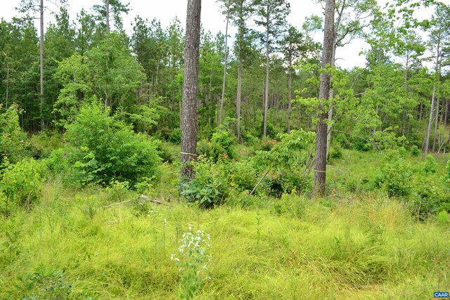 LOT3TBA Melita Rd, Arvonia, VA 23004 - photo 10