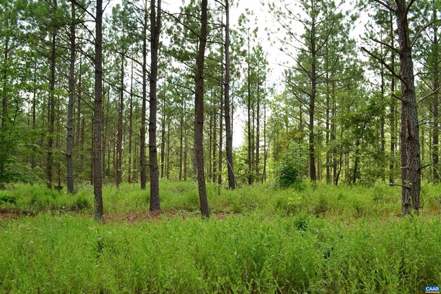 LOT3TBA Melita Rd, Arvonia, VA 23004 - photo 7