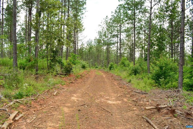 LOT3TBA Melita Rd, Arvonia, VA 23004 - photo 6