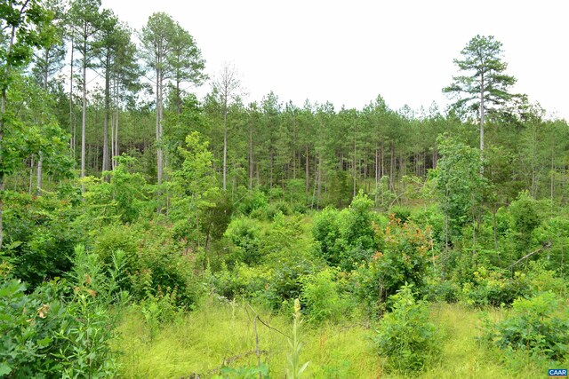 LOT3TBA Melita Rd, Arvonia, VA 23004 - photo 13