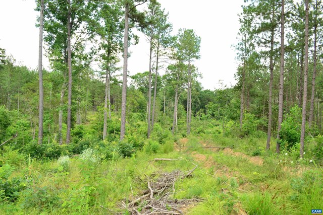 LOT3TBA Melita Rd, Arvonia, VA 23004 - photo 11