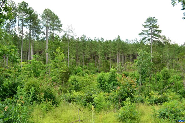 LOT3TBA Melita Rd, Arvonia, VA 23004 - photo 14