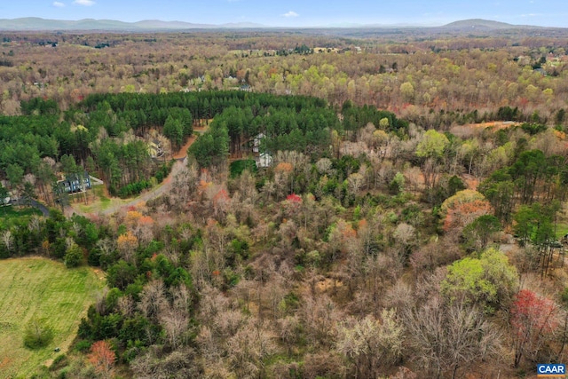 LOT75 Logan Dr, Ruckersville, VA 22968 - photo 6