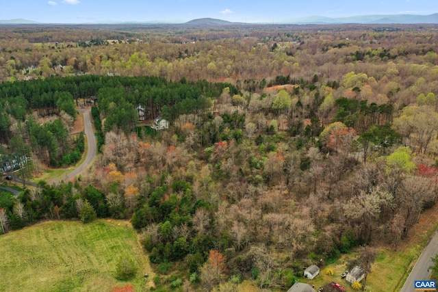 LOT75 Logan Dr, Ruckersville, VA 22968 - photo 5