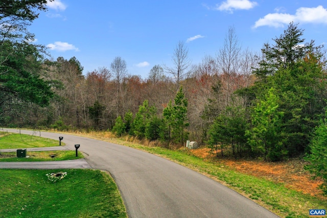 LOT75 Logan Dr, Ruckersville, VA 22968 - photo 9