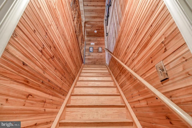 staircase featuring wood walls