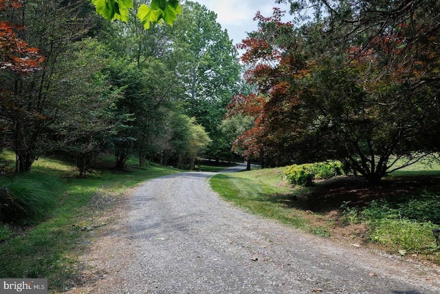 432 Laurel Mills Rd, Castleton, VA 22716 - photo 47