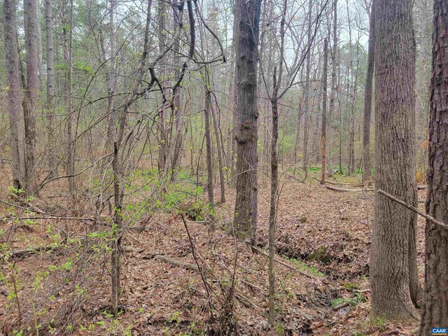 5 Piney Mountain Dr, Palmyra, VA 22963 - photo 8