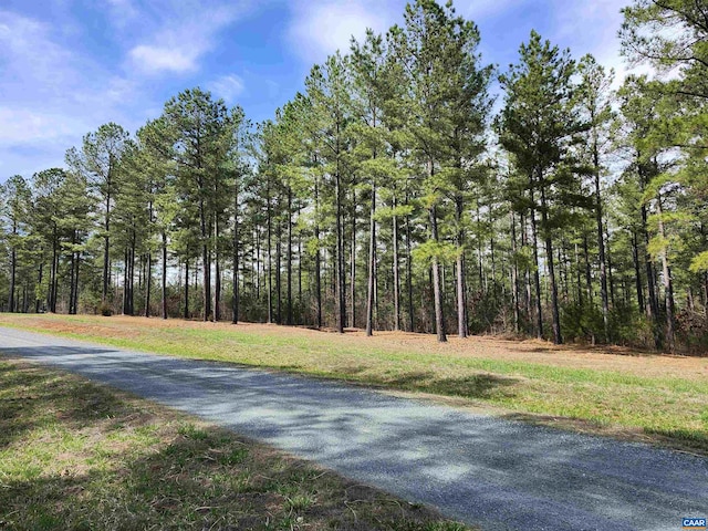 5 Piney Mountain Dr, Palmyra, VA 22963 - photo 2