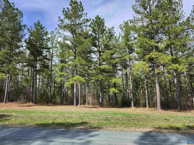 5 Piney Mountain Dr, Palmyra, VA 22963 - photo 6