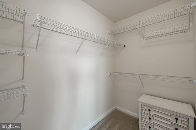 2015 Elm Tree Ct, Charlottesville, VA 22911 - spacious closet featuring dark carpet