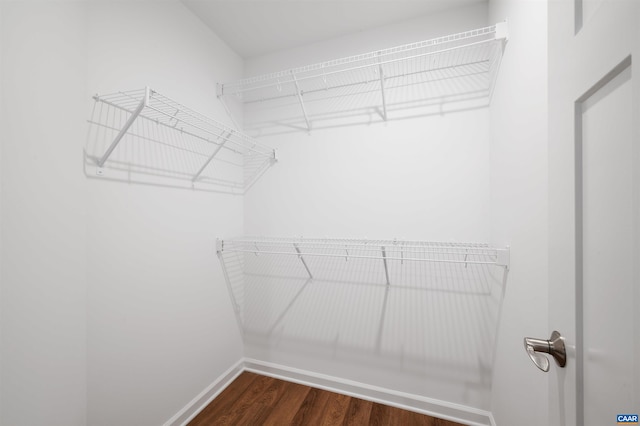 4454 Alston St, Crozet, VA 22932 - spacious closet with dark wood finished floors