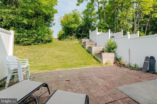 417 Maryland Ave, Shenandoah, VA 22849 - view of yard with a patio area