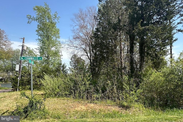 100 Flat Run Rd, Locust Grove, VA 22508