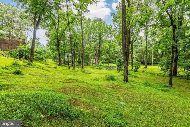 9071 Old Culpeper Rd, Warrenton, VA 20186 - view of yard