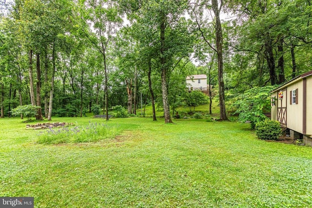 9071 Old Culpeper Rd, Warrenton, VA 20186 - view of green lawn