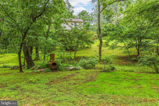 9071 Old Culpeper Rd, Warrenton, VA 20186 - view of yard